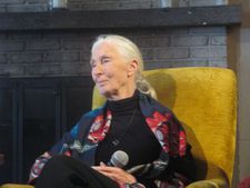 Jane Goodall: "And Dr Doolittle - I still adore him. Not Rex Harrison."